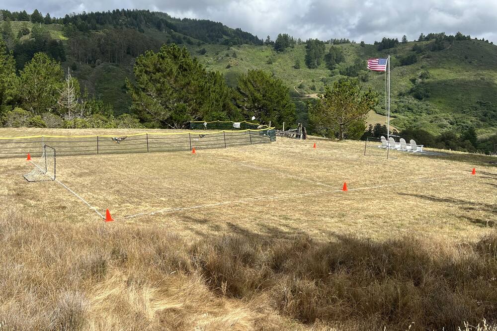 Photo of Others in Half Moon Bay