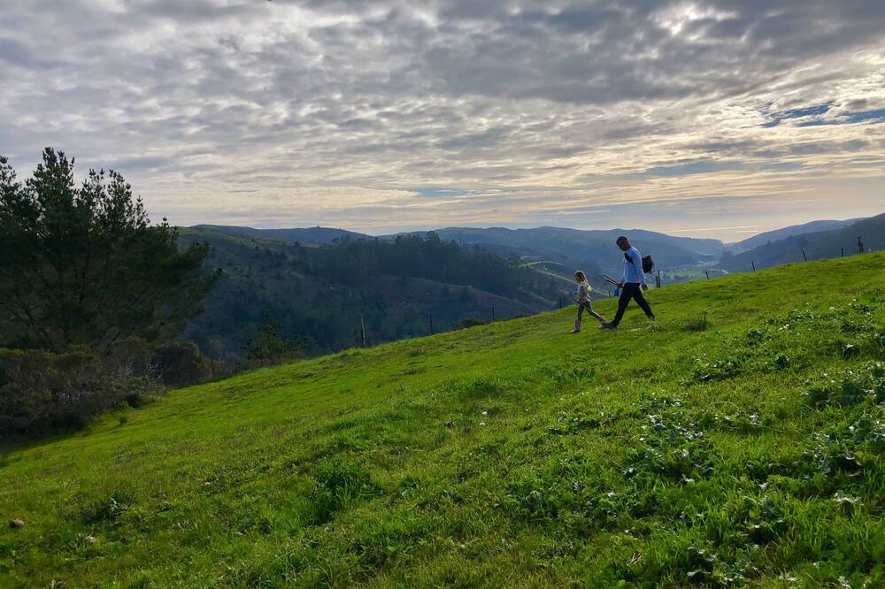 Photo of Others in Half Moon Bay