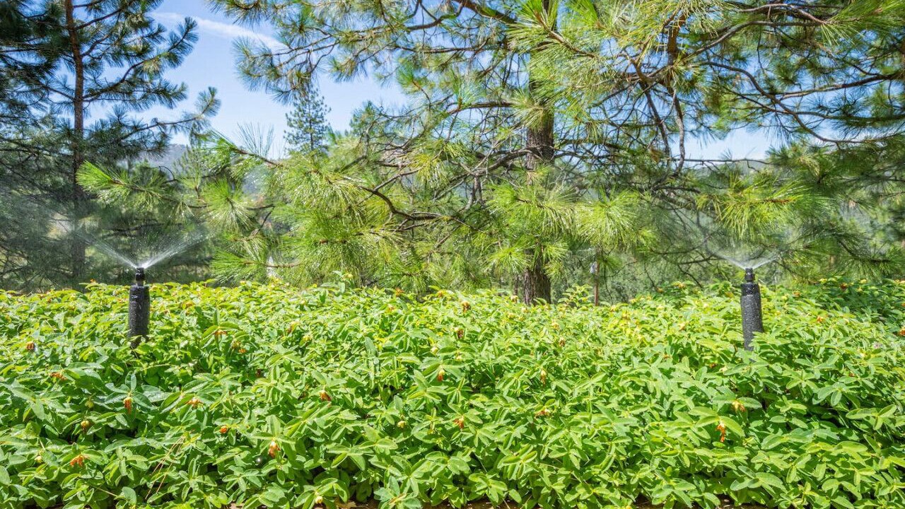 Photo of Outdoor in Coarsegold