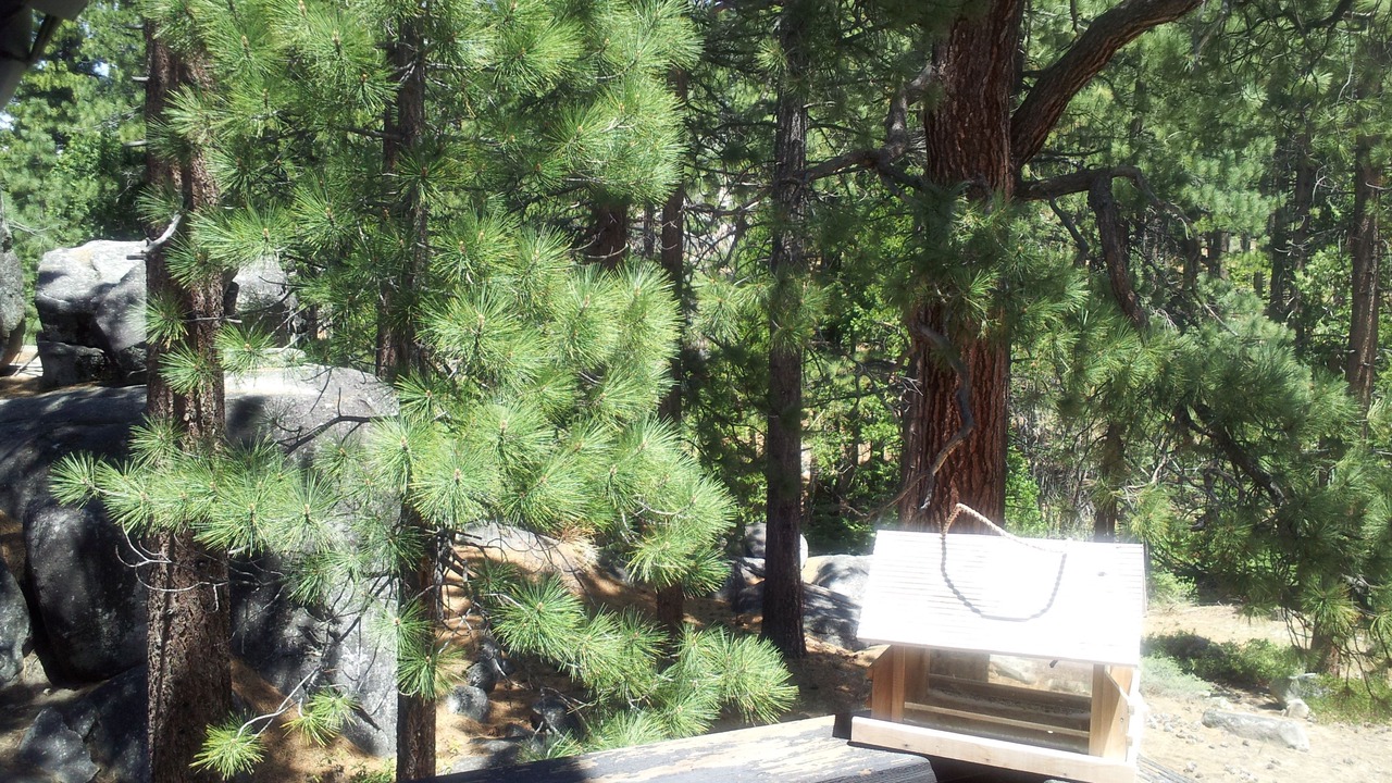 Photo of Outdoor in South Lake Tahoe