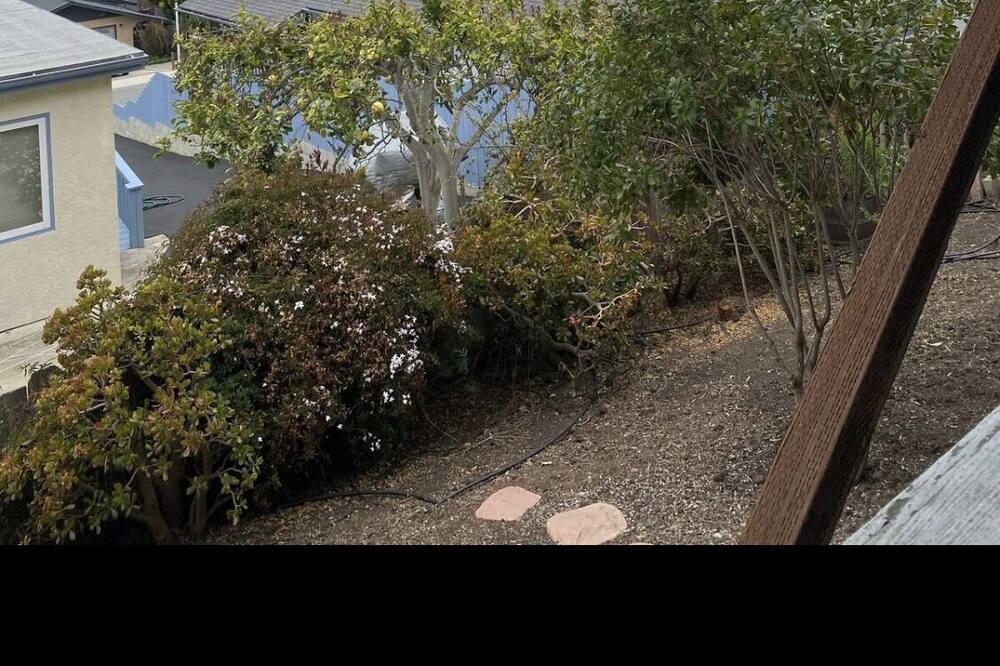 Photo of Others in Morro Bay