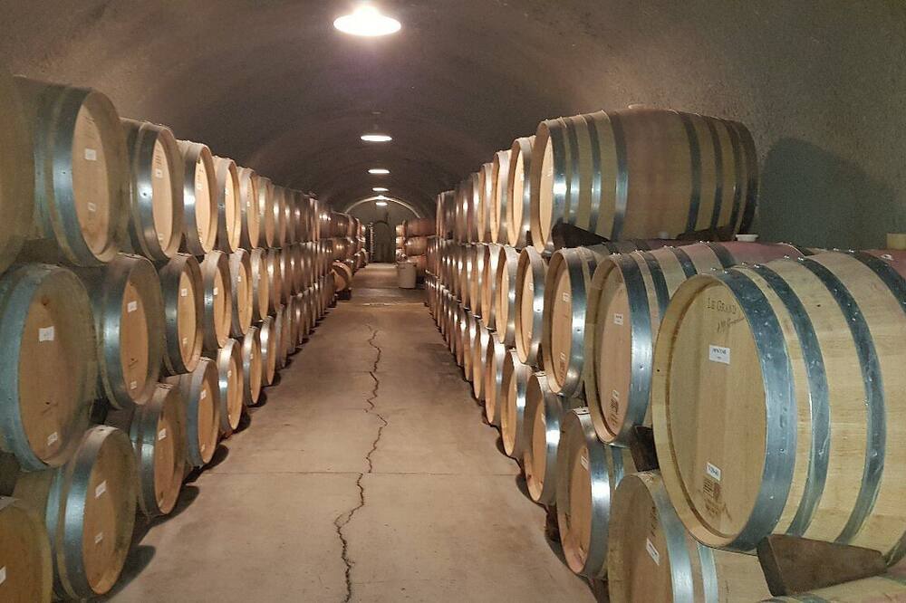 Photo of Others in Napa