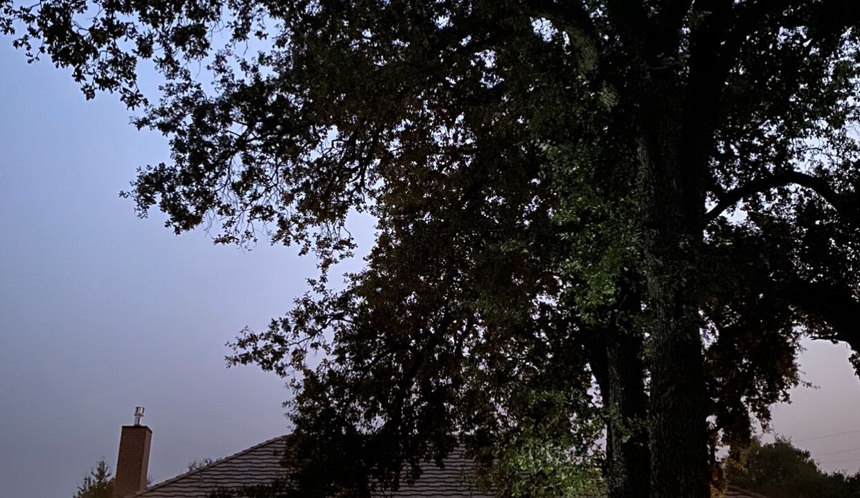 Photo of Outdoor in Cedar Ridge