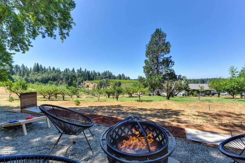 Photo of Outdoor in Apple Hill