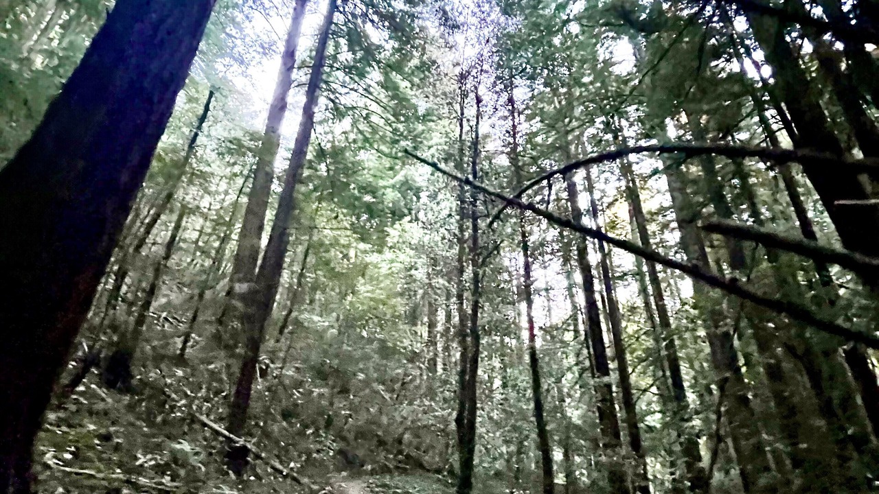 Photo of Outdoor in Redwood City