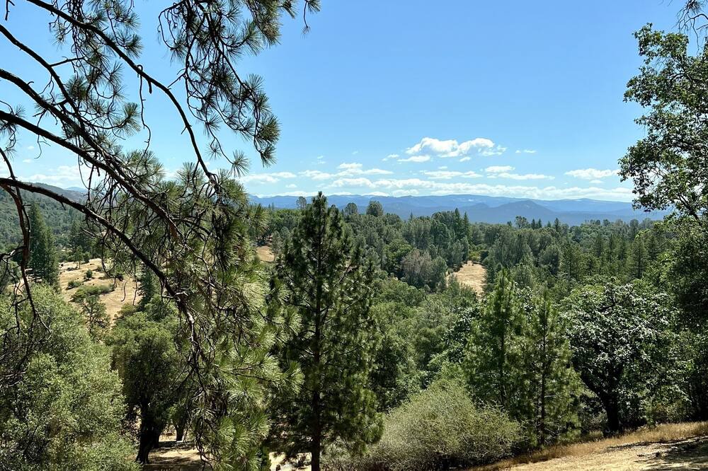 Photo of Outdoor in Groveland