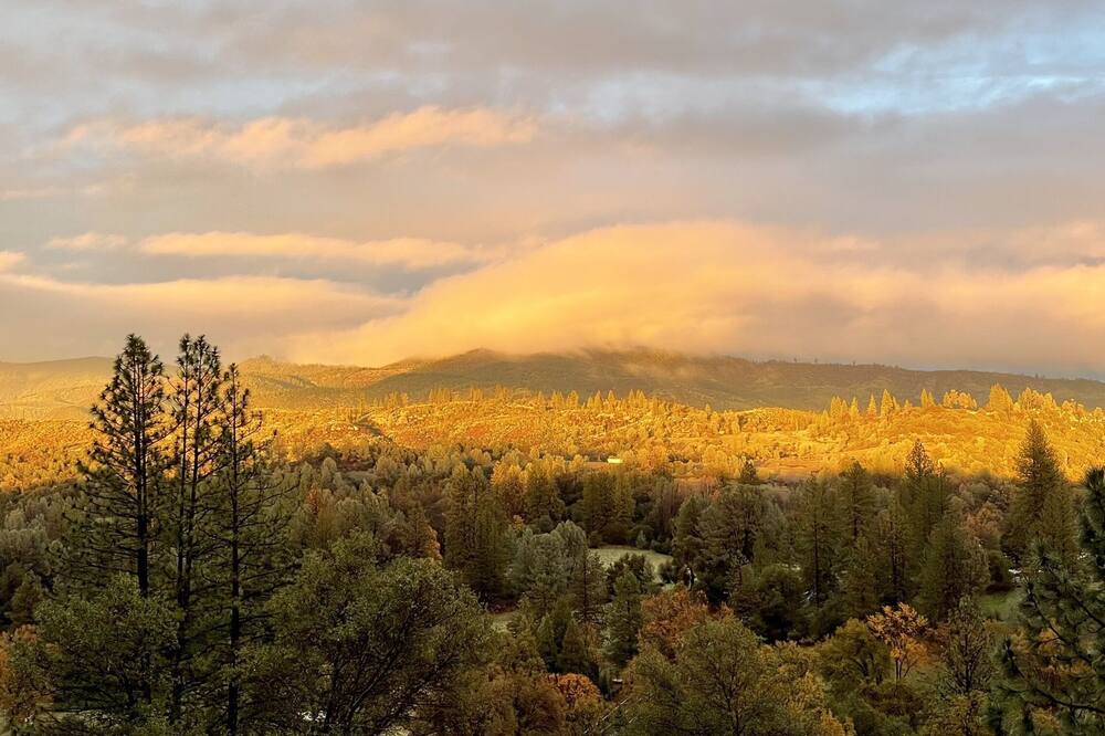 Photo of Outdoor in Groveland