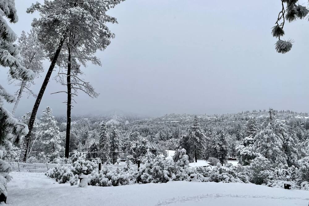 Photo of Others in Groveland