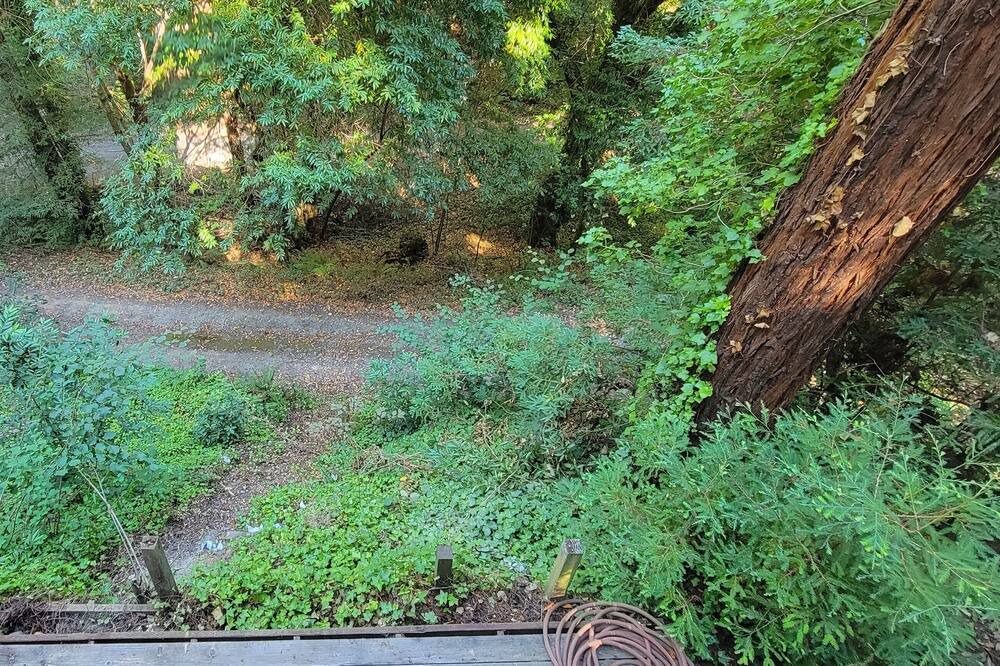 Photo of Bathroom in Guerneville