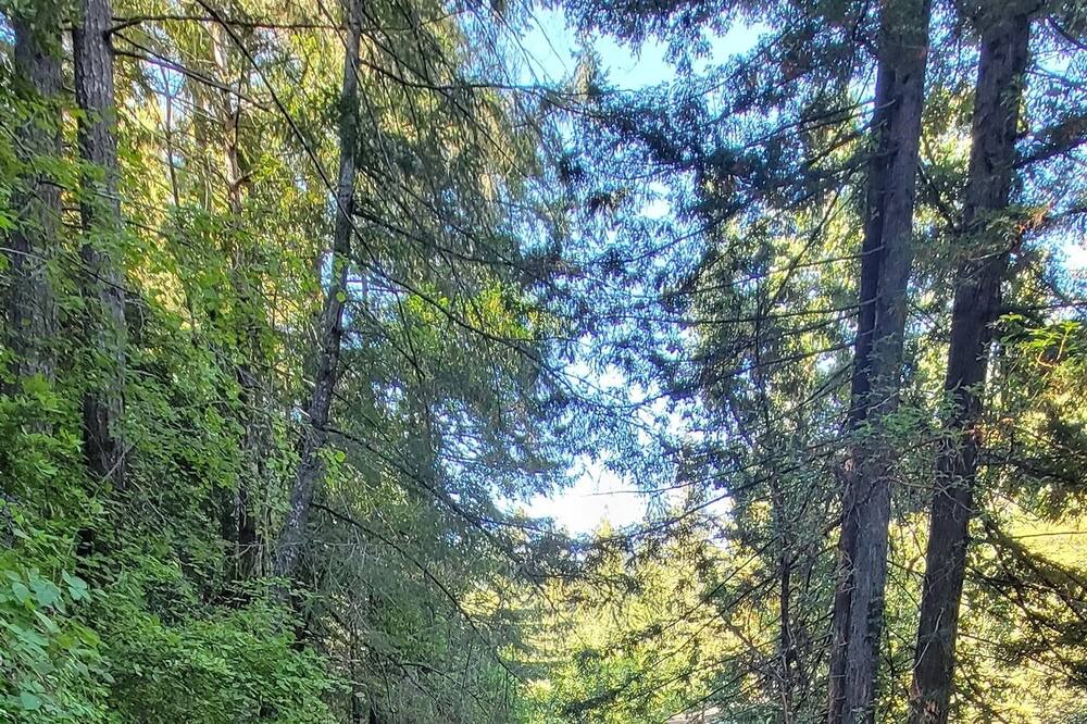 Photo of Others in Guerneville