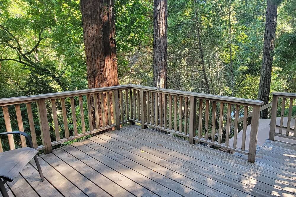 Photo of Outdoor in Guerneville