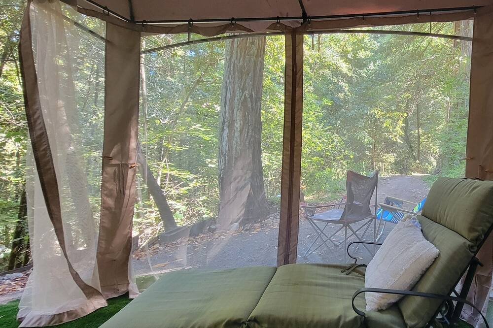 Photo of Outdoor in Guerneville