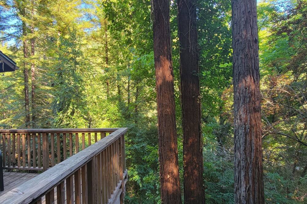 Photo of Others in Guerneville