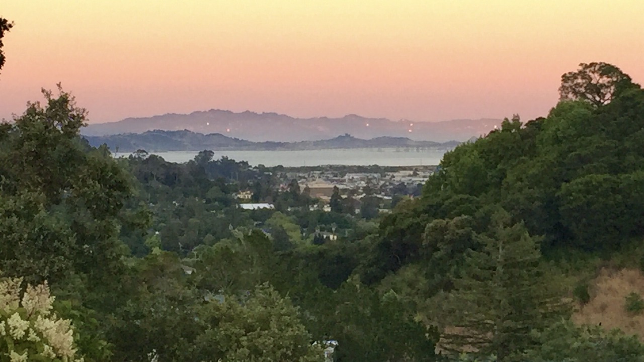 Photo of Others in San Rafael