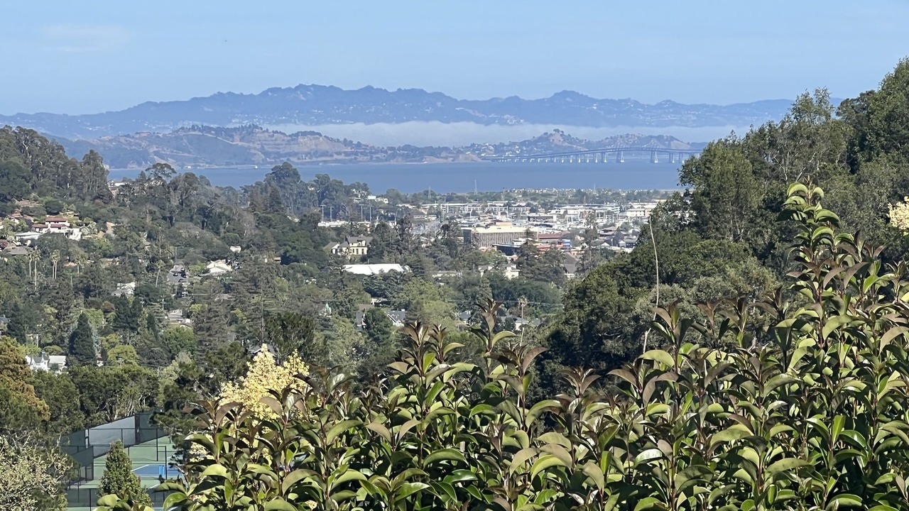 Photo of Others in San Rafael