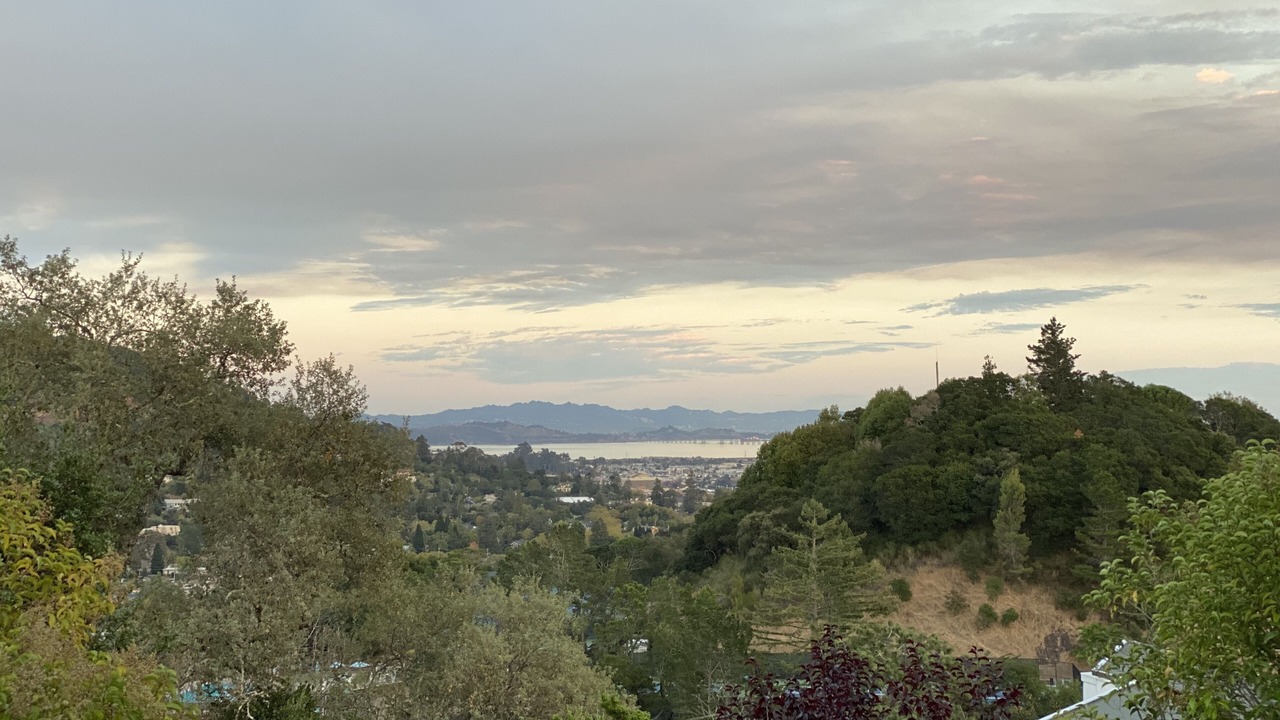 Photo of Others in San Rafael