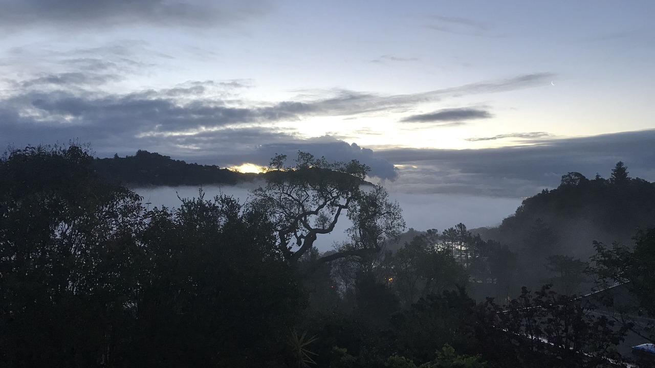 Photo of Others in San Rafael
