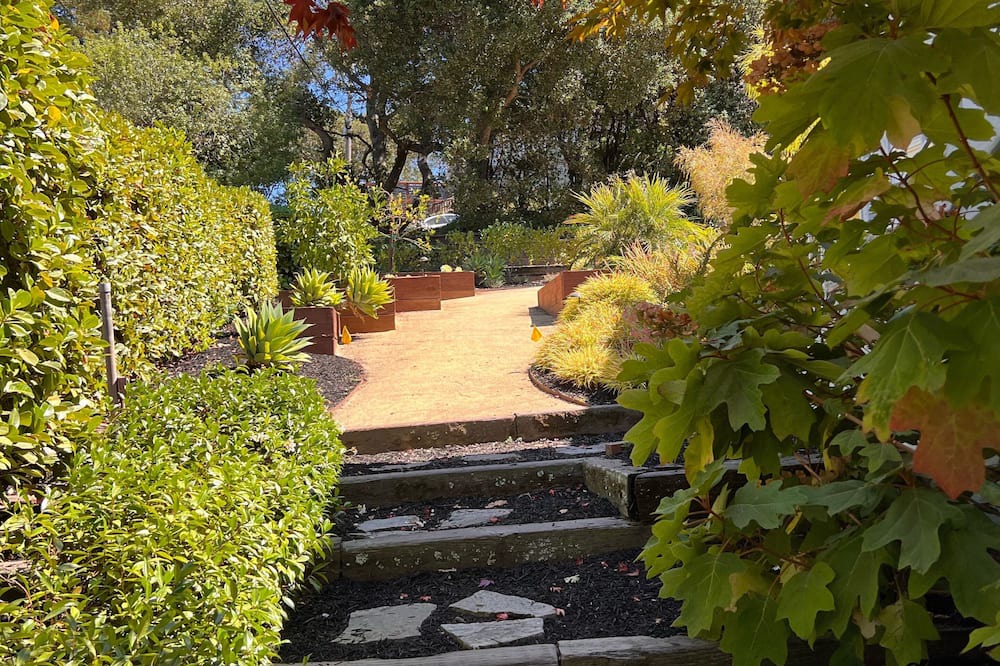 Photo of Outdoor in Upper Rockridge
