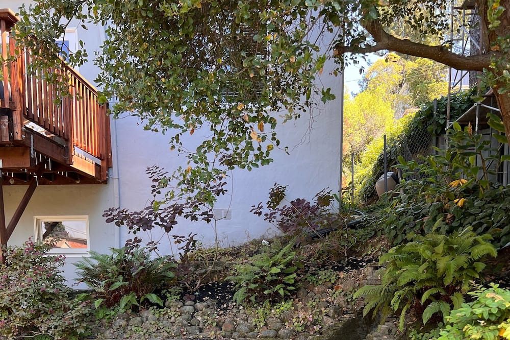 Photo of Outdoor in Upper Rockridge