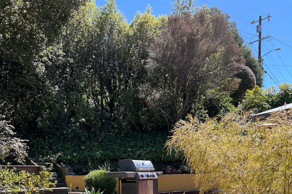 Photo of Outdoor in Upper Rockridge