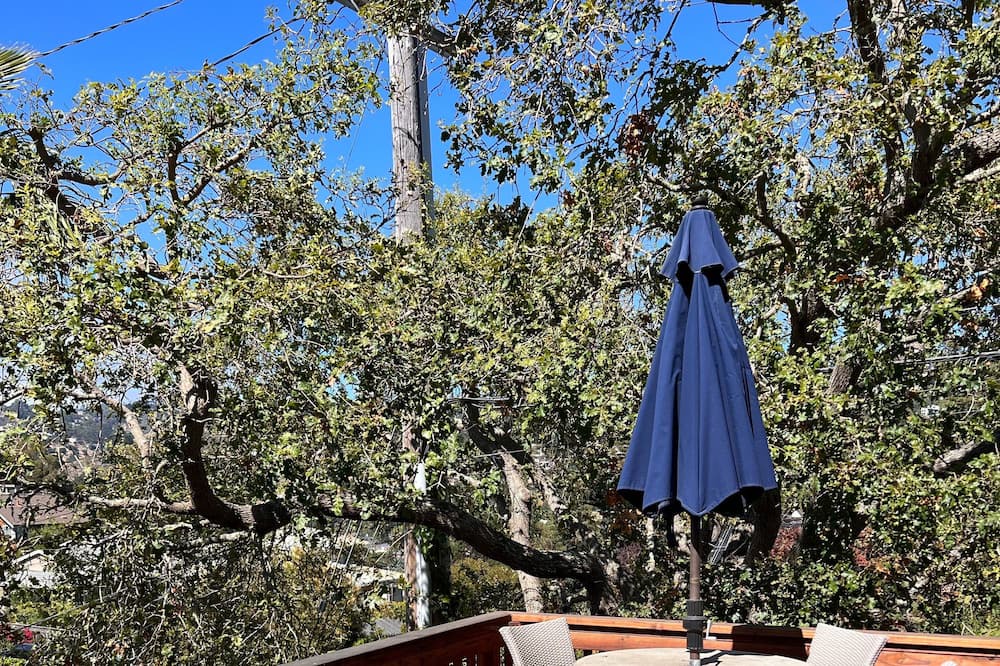 Photo of Outdoor in Upper Rockridge