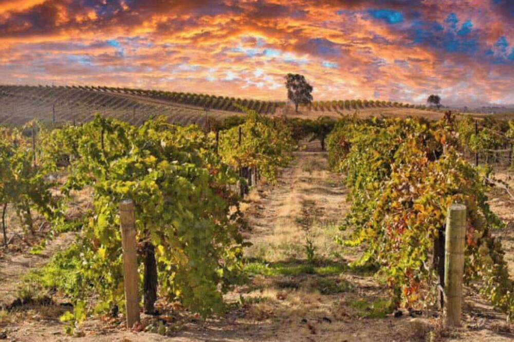Photo of Others in Paso Robles