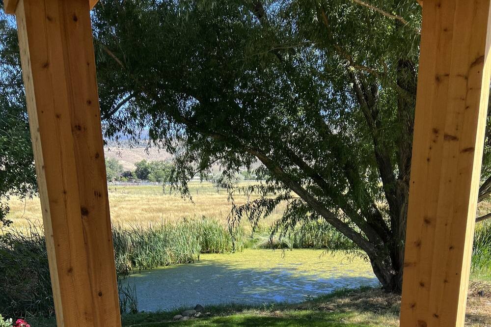 Photo of Outdoor in Reno