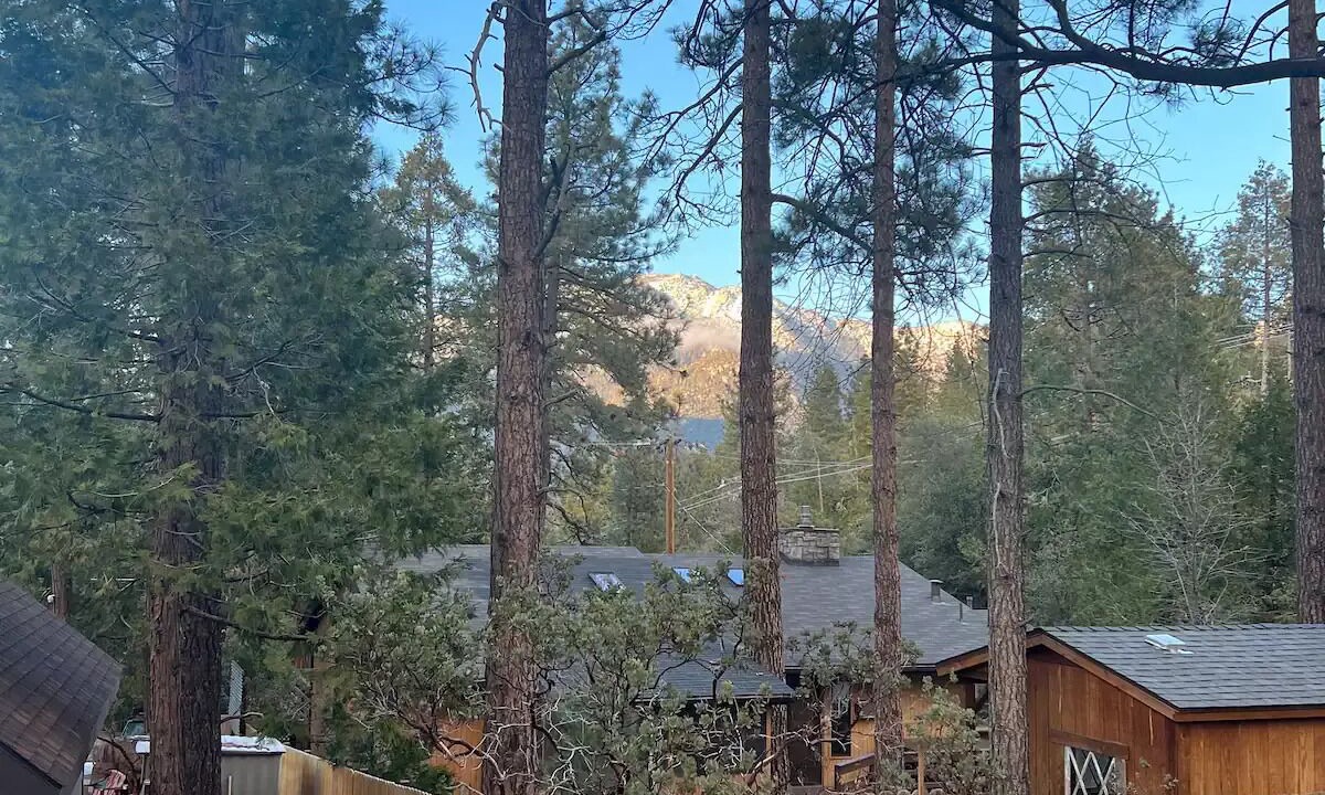 Photo of Outdoor in Idyllwild