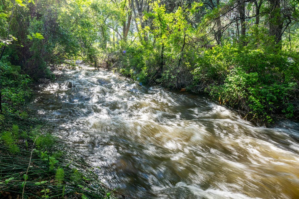 Photo of Others in West Bishop
