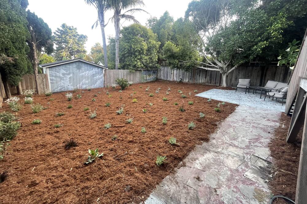 Photo of Outdoor in Westside Santa Cruz