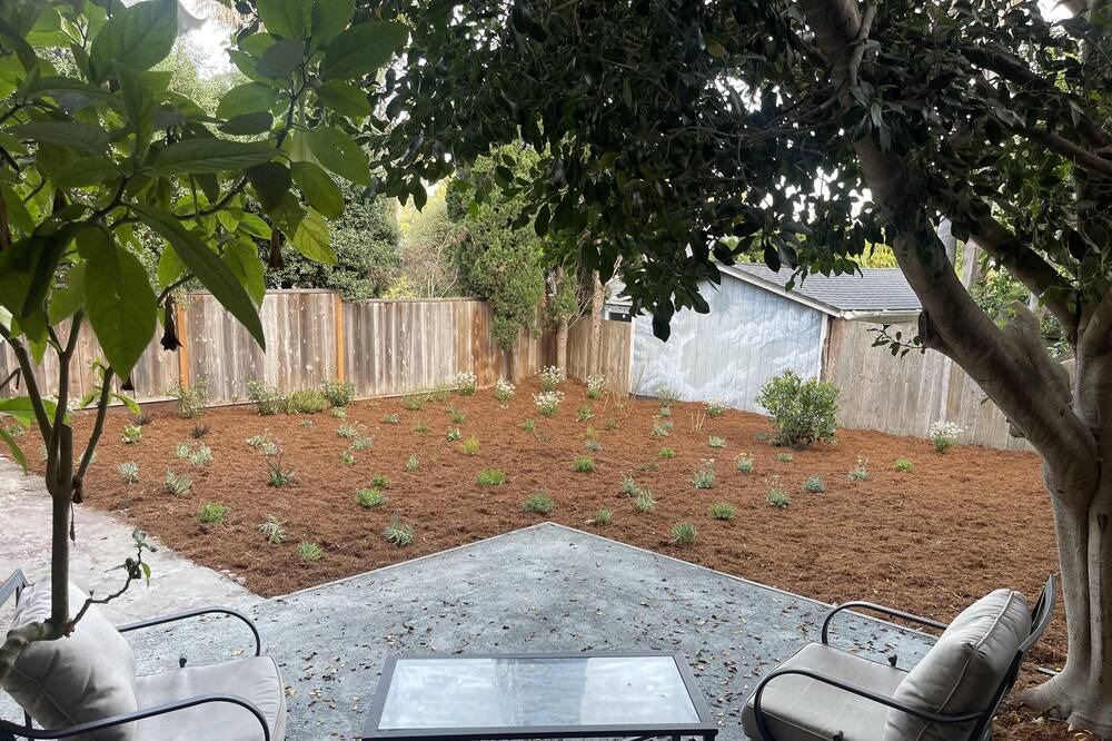 Photo of Outdoor in Westside Santa Cruz