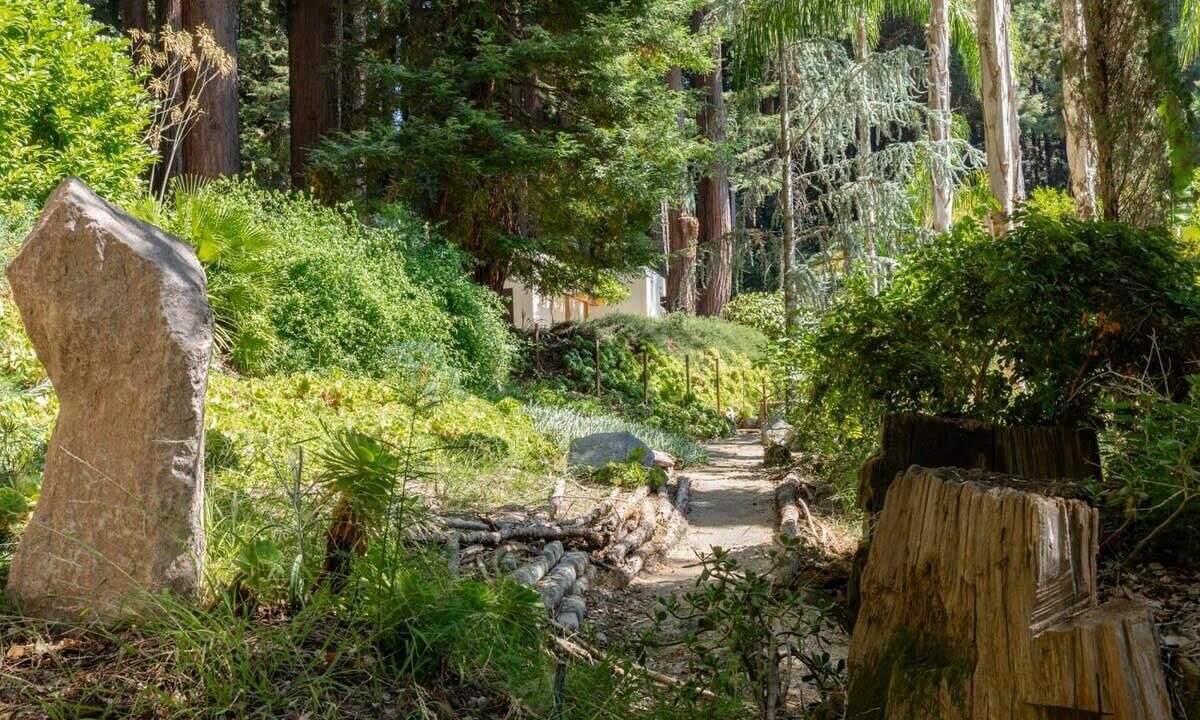 Photo of Outdoor in Los Gatos