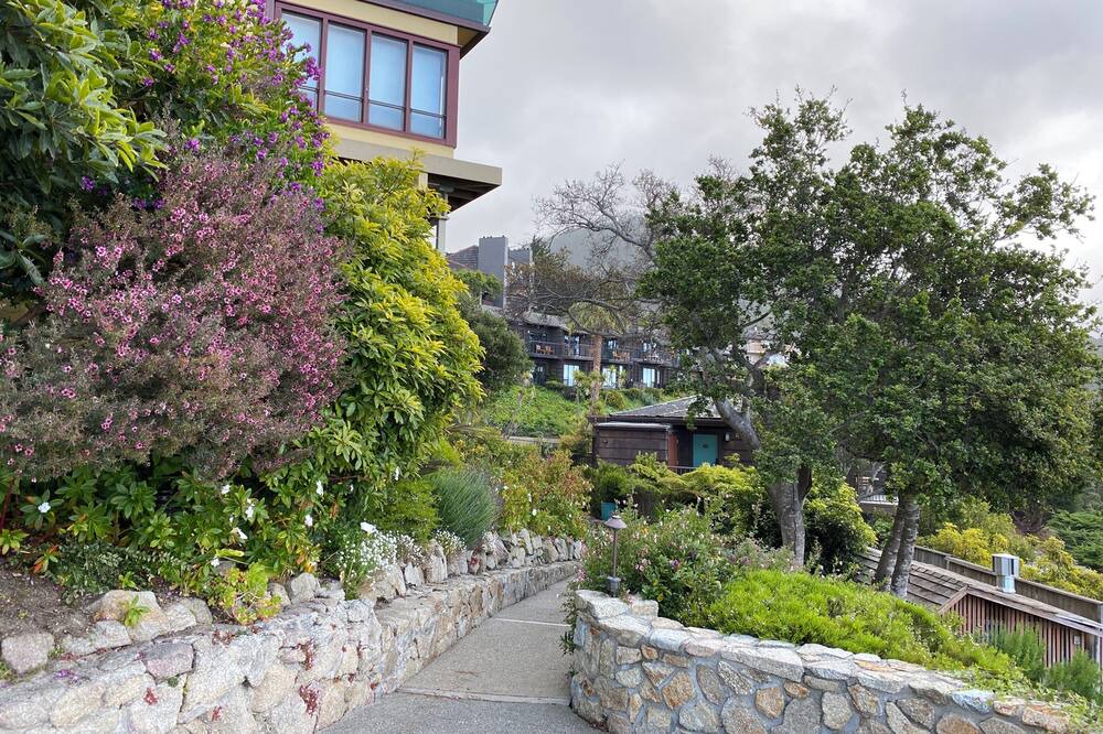 Photo of Outdoor in Carmel Highlands