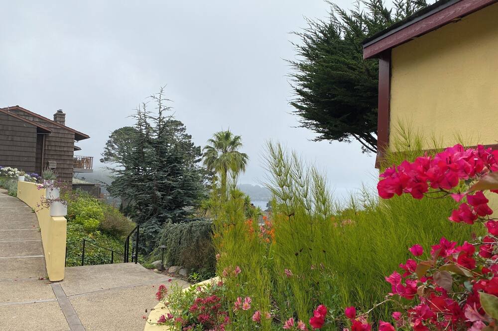 Photo of Outdoor in Carmel Highlands