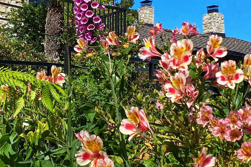 Photo of Outdoor in Carmel Highlands