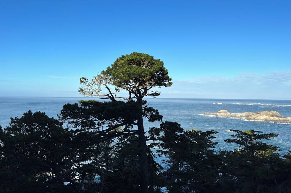 Photo of Others in Carmel Highlands