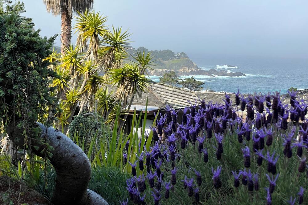 Photo of Outdoor in Carmel Highlands