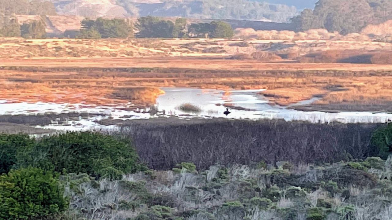 Photo of Outdoor in Pescadero