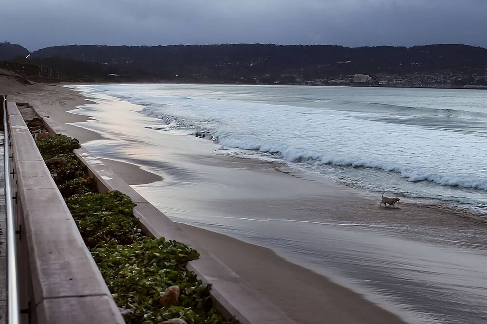 Photo of Others in Monterey