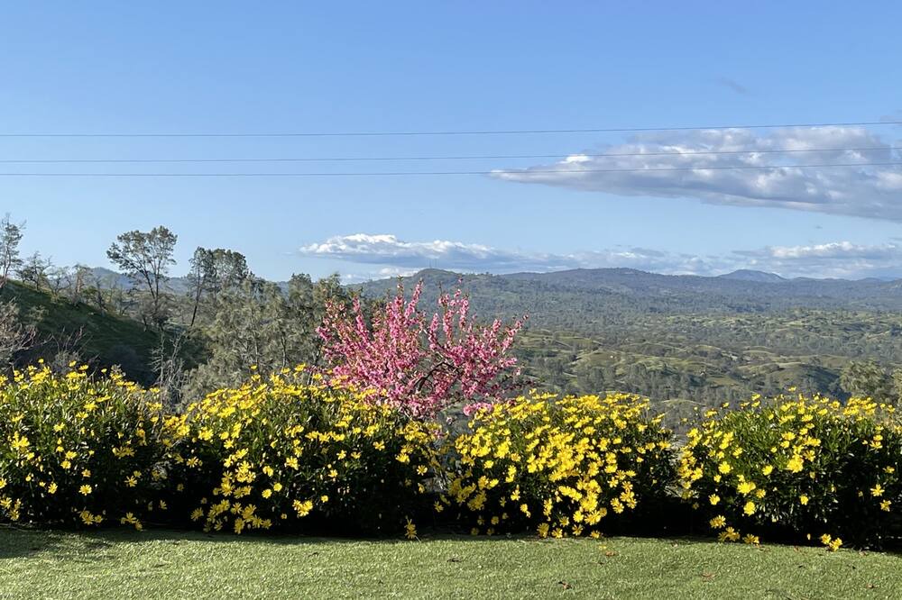 Photo of Outdoor in Friant