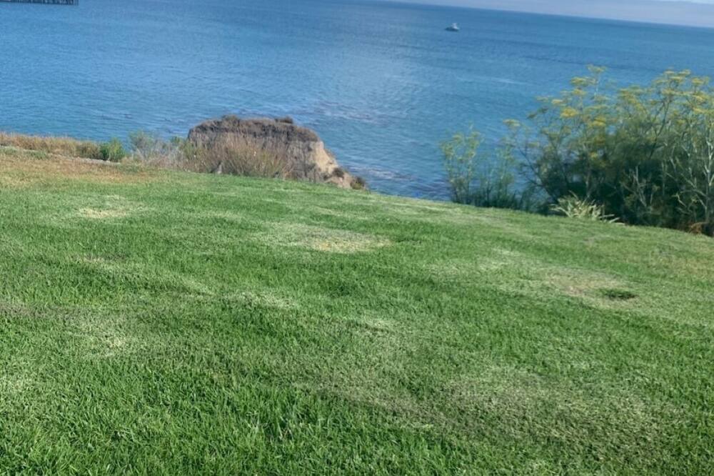 Photo of Others in Avila Beach