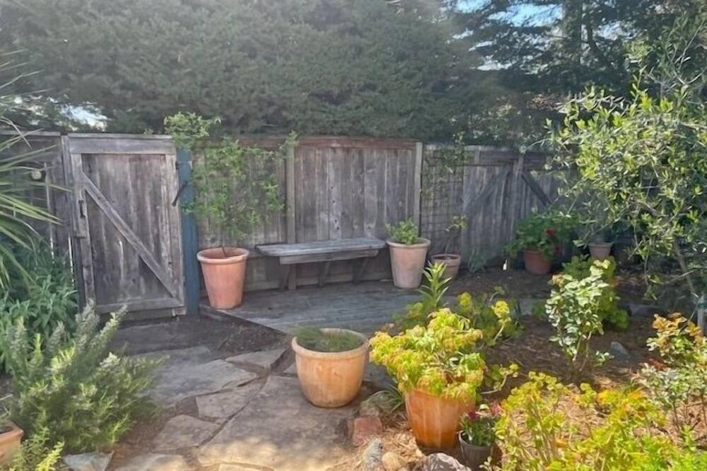 Photo of Others in Point Reyes Station