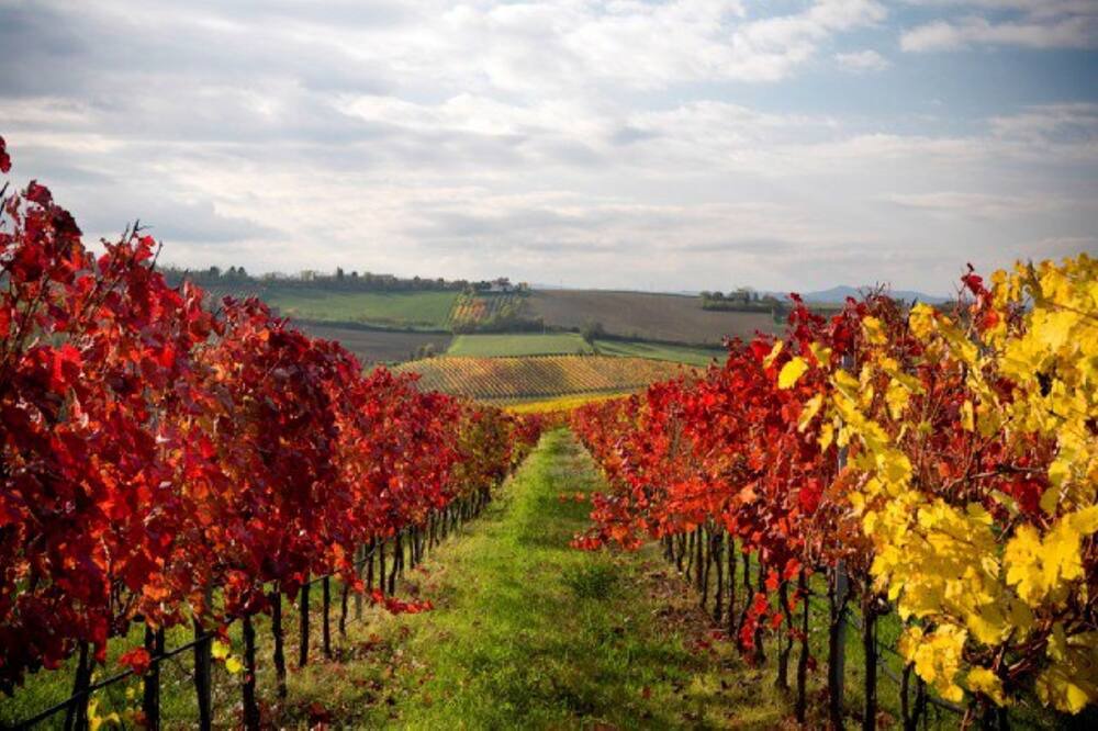 Photo of Outdoor in Napa