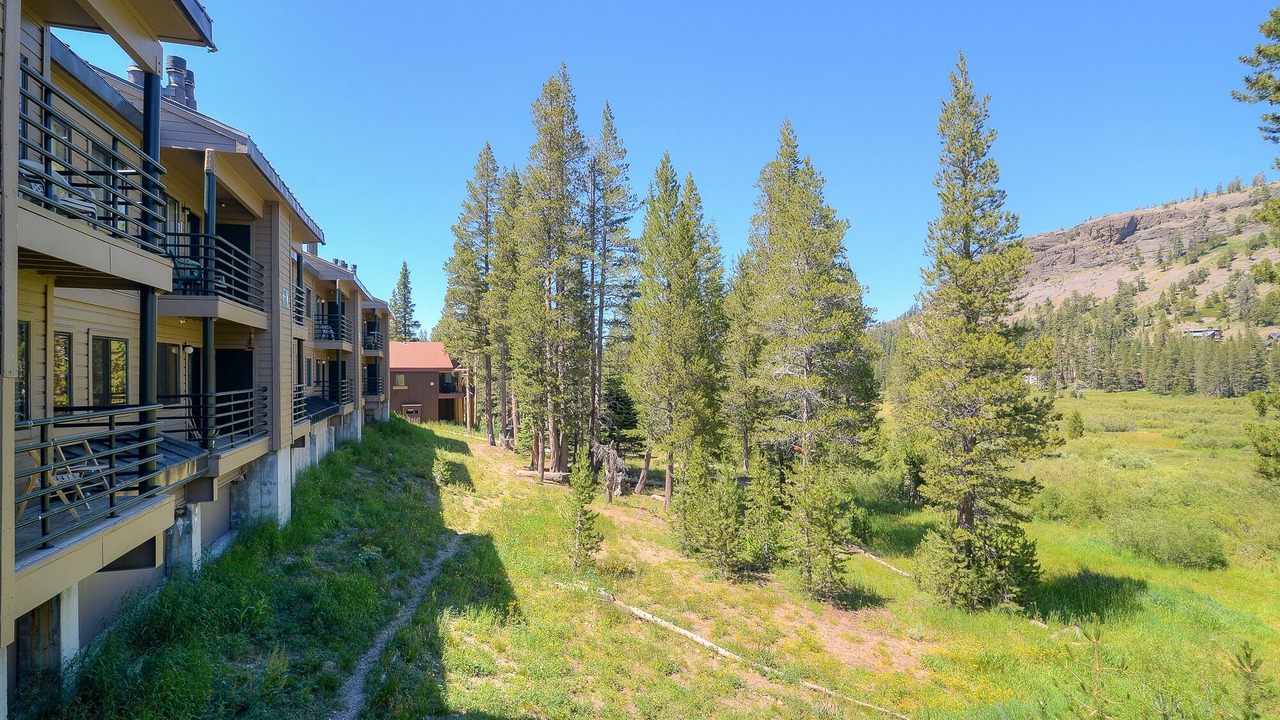 Photo of Outdoor in Kirkwood