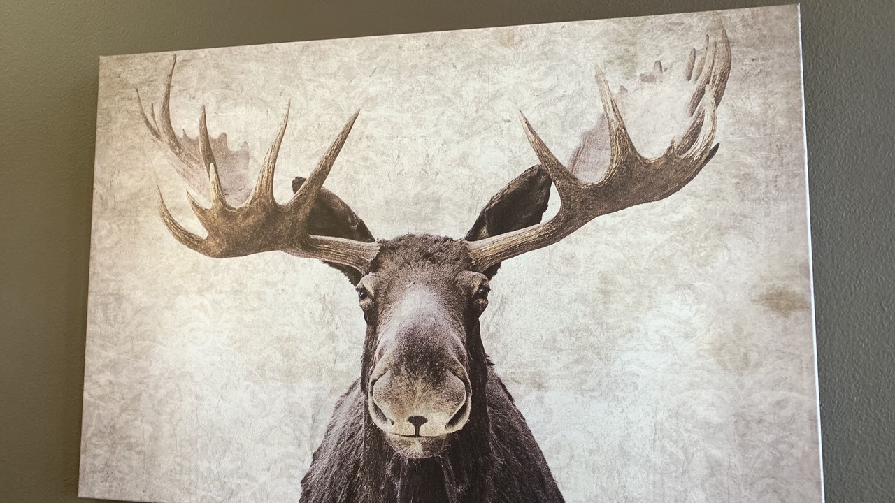 Photo of Others in Mammoth Lakes