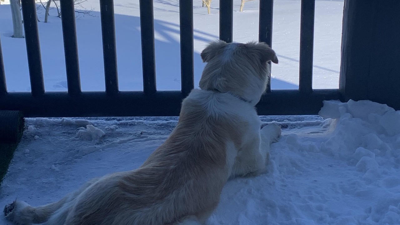 Photo of Outdoor in Mammoth Lakes