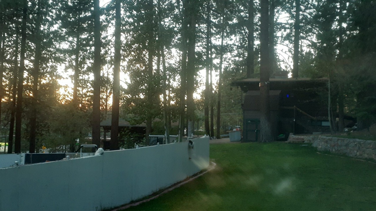 Photo of Outdoor in Zephyr Cove
