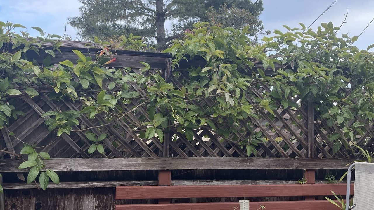 Photo of Outdoor in Happy Hill