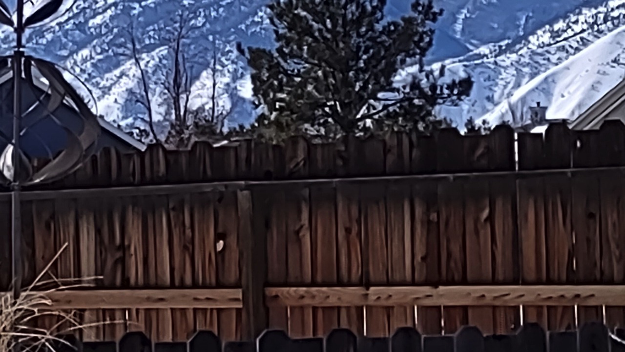 Photo of Outdoor in Johnson Lane