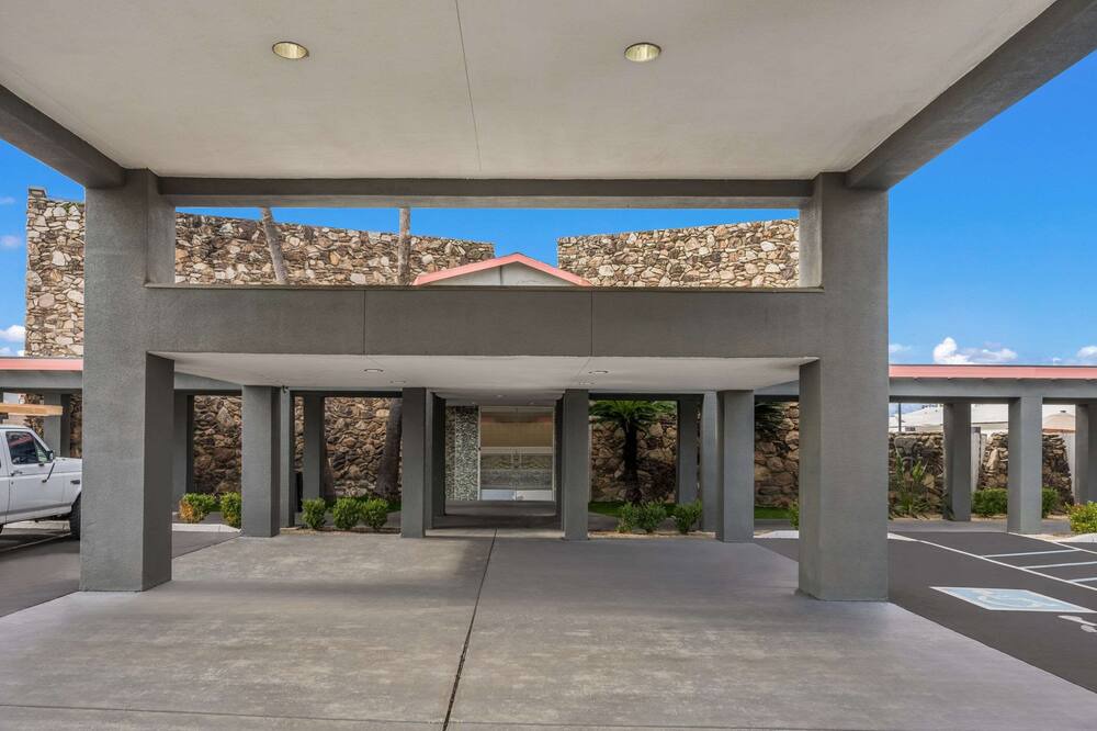 Photo of Outdoor in Raisin